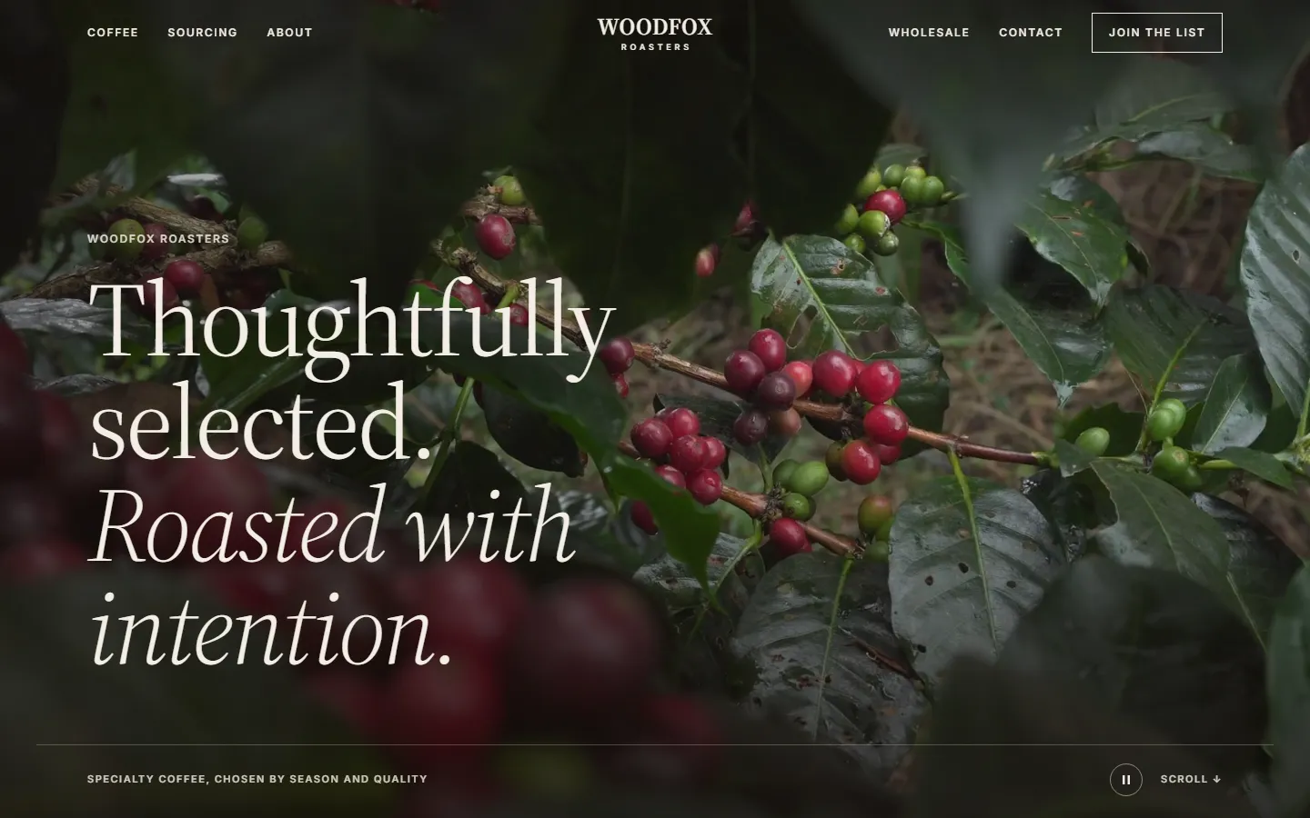 Woodfox Roasters homepage with a full-bleed photo of coffee cherries and the headline "Thoughtfully selected. Roasted with intention."